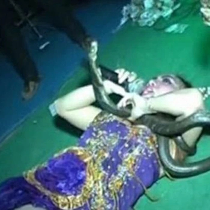 Nữ ca sĩ bị rắn cắn tử vong trên sân khấu, hàng trăm khán giả bàng hoàng Ảnh 2