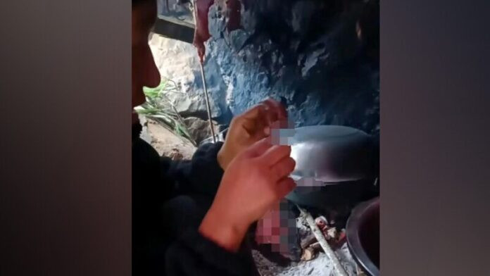 Ăn 50 con chuột trong một tháng, người phụ nữ giảm 14 ký Ảnh 3