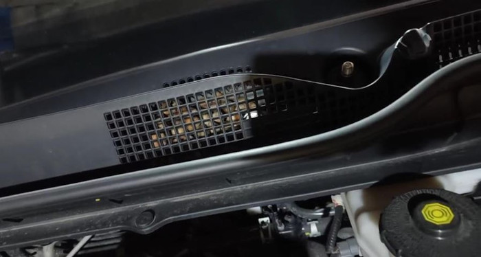 Nghe tiếng động lạ dưới gầm xe hơi, người đàn ông sửng sốt sau khi kiểm tra Ảnh 2