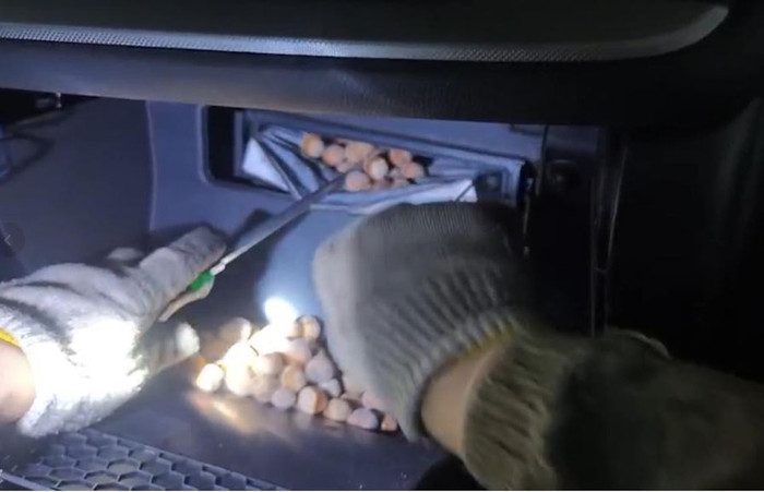 Nghe tiếng động lạ dưới gầm xe hơi, người đàn ông sửng sốt sau khi kiểm tra Ảnh 4