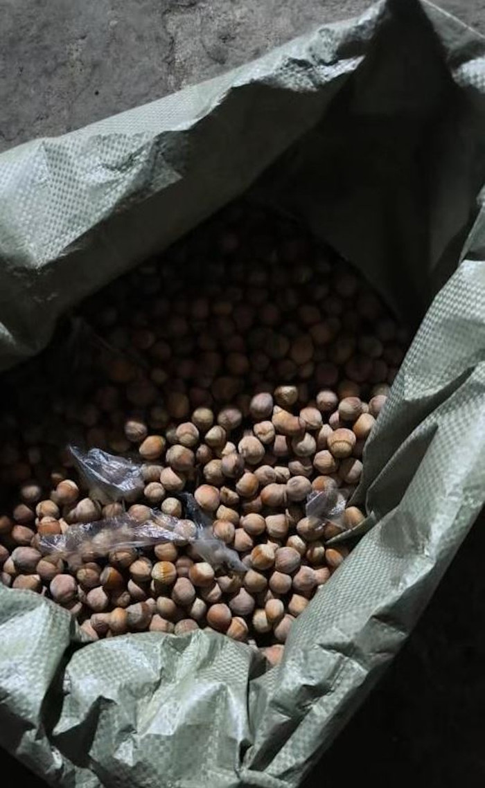 Nghe tiếng động lạ dưới gầm xe hơi, người đàn ông sửng sốt sau khi kiểm tra Ảnh 1