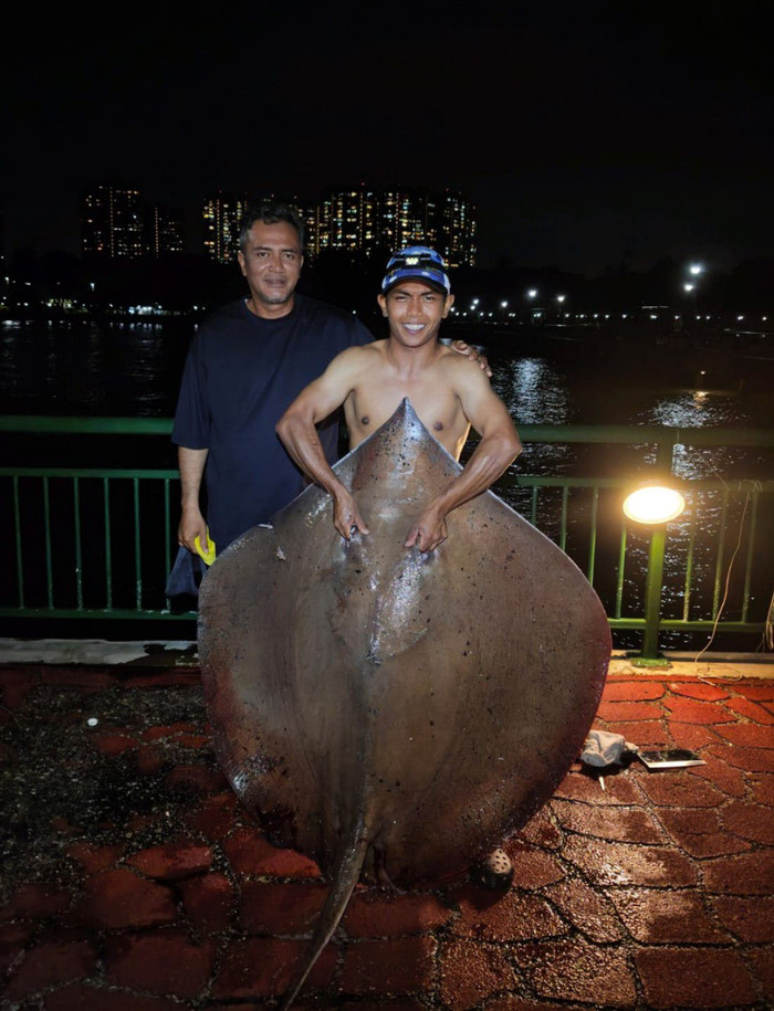 Rủ nhau đi câu, 3 thanh niên bắt được con cá đuối 'quái vật', trọng lượng gây choáng Ảnh 2