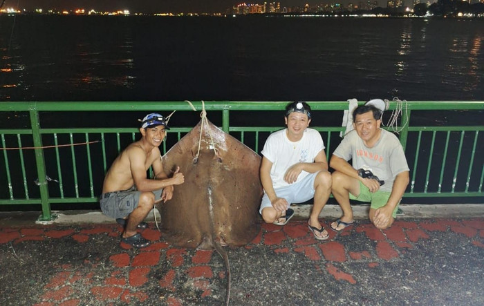 Rủ nhau đi câu, 3 thanh niên bắt được con cá đuối 'quái vật', trọng lượng gây choáng Ảnh 1