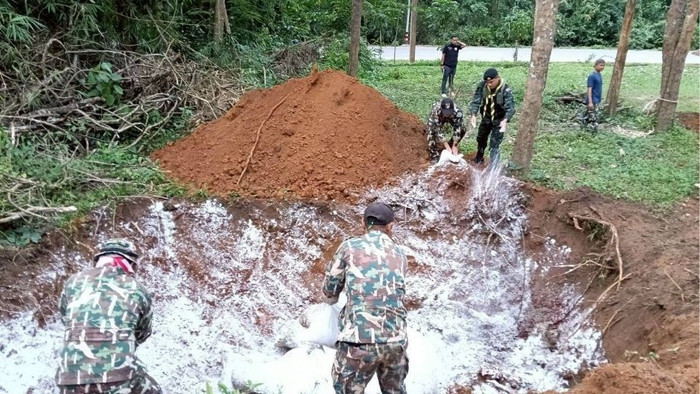 Con thú lớn bị điện giật chết trong vườn, người dân xôn xao đến xem Ảnh 3