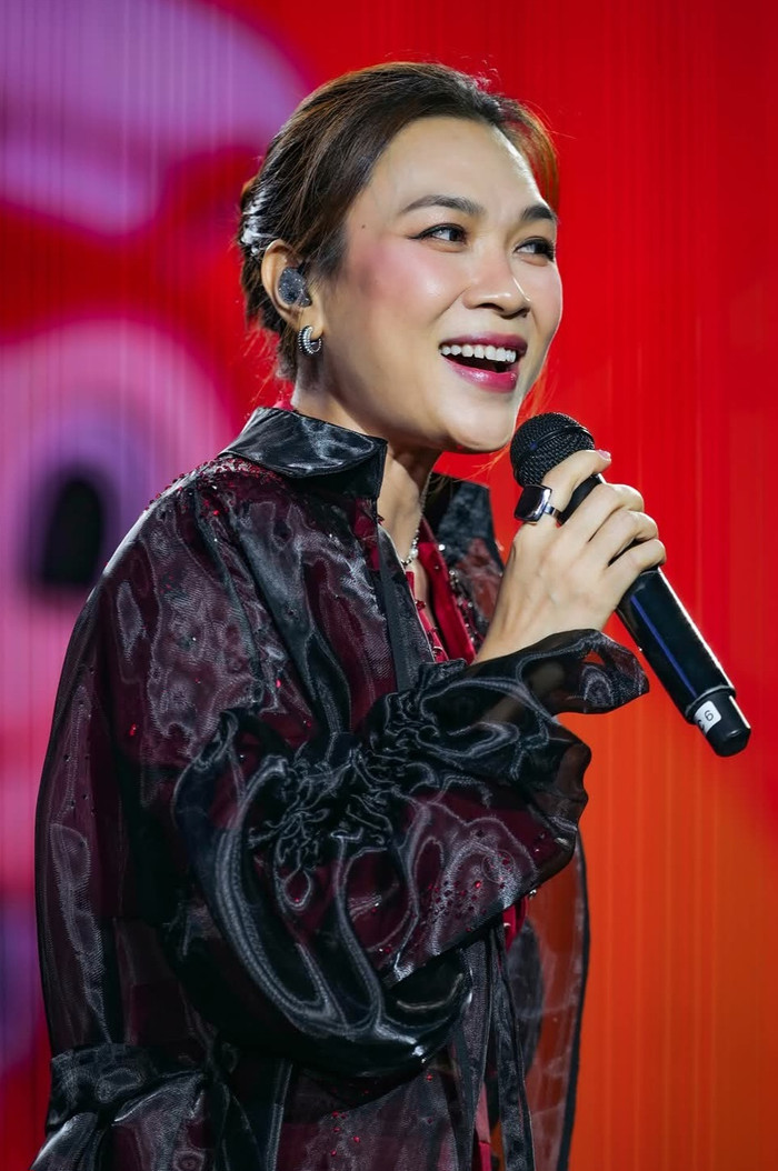 Mỹ Tâm gặp sự cố trước hàng nghìn khán giả Ảnh 1