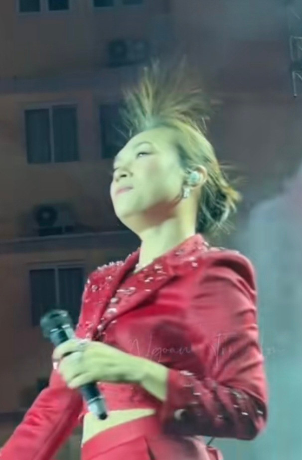 Mỹ Tâm gặp sự cố trước hàng nghìn khán giả Ảnh 3