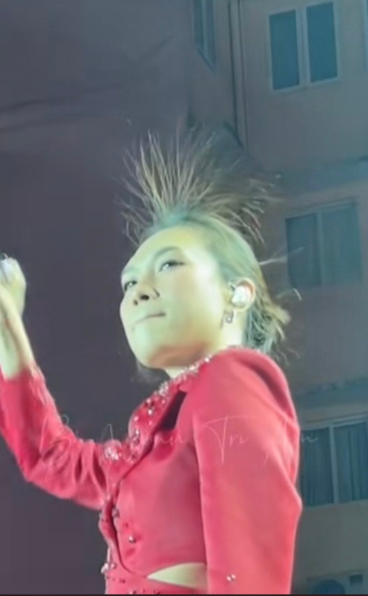 Mỹ Tâm gặp sự cố trước hàng nghìn khán giả Ảnh 4