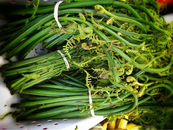 Rau dớn còn góp mặt trong nhiều bài thuốc dân gian. (Ảnh minh họa từ Internet)