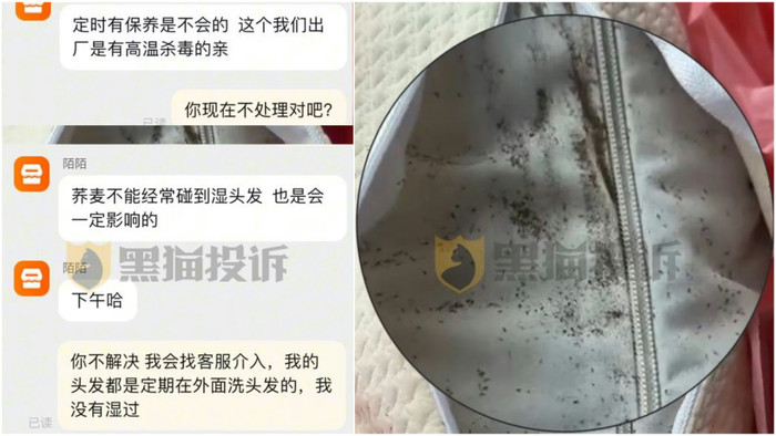 Mua gối ngủ trên mạng, người phụ nữ kinh hoàng khi phát hiện thứ ẩn bên trong Ảnh 4