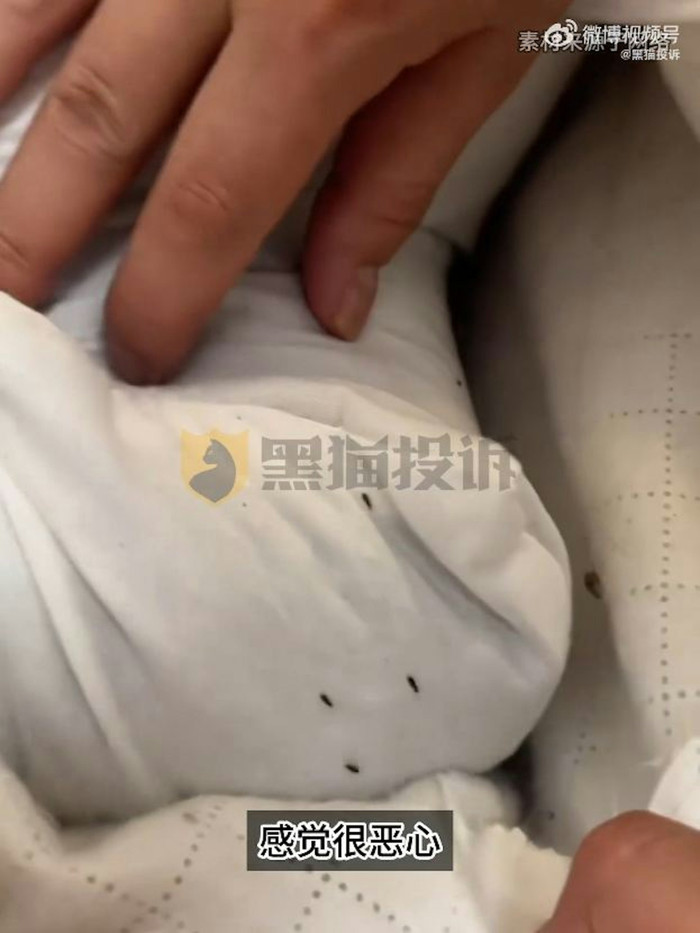 Mua gối ngủ trên mạng, người phụ nữ kinh hoàng khi phát hiện thứ ẩn bên trong Ảnh 3