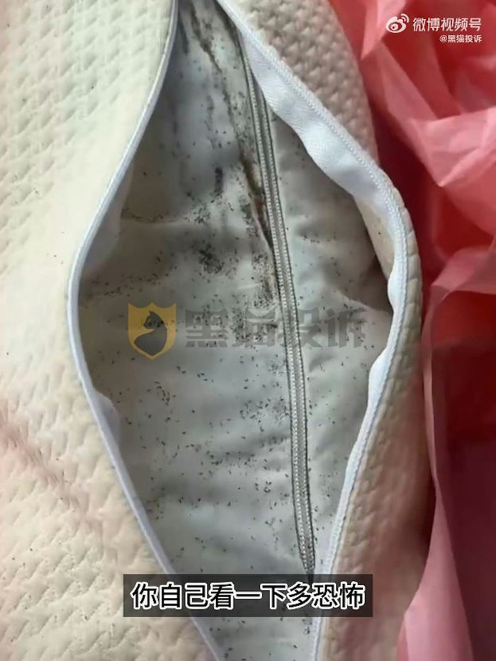 Mua gối ngủ trên mạng, người phụ nữ kinh hoàng khi phát hiện thứ ẩn bên trong Ảnh 1