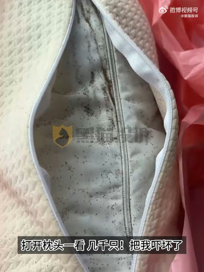 Mua gối ngủ trên mạng, người phụ nữ kinh hoàng khi phát hiện thứ ẩn bên trong Ảnh 2