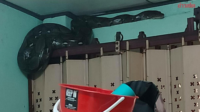 Con 'quái vật' trôi vào nhà theo dòng nước lũ, người dân hoảng sợ khi chứng kiến Ảnh 1