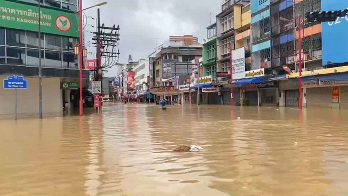 Con 'quái vật' trôi vào nhà theo dòng nước lũ, người dân hoảng sợ khi chứng kiến Ảnh 2