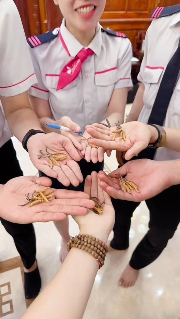 Mailisa chia sẻ, mỗi con đông trùng hạ thảo có giá 1.2 triệu đồng.