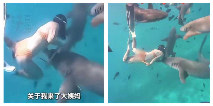 Nữ du khách bị cá mập cắn khi lặn biển, thái độ sau đó khiến cộng đồng mạng tranh cãi Ảnh 2