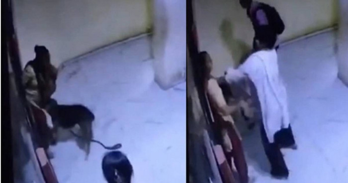 Người phụ nữ bị chó tấn công khi chờ thang máy, hành động sau đó của chủ vật nuôi không thể chấp nhận Ảnh 1