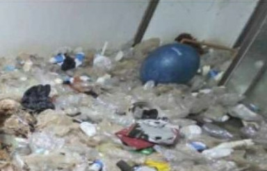 Cảnh sát đột kích ngôi nhà bốc ra mùi hôi thối, kinh hoàng trước cảnh tượng bên trong Ảnh 1