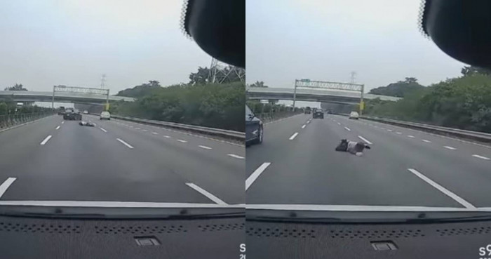 Người đàn ông gây sốc khi nhảy ra khỏi xe trên quốc lộ, ai chứng kiến cũng hoảng sợ Ảnh 1