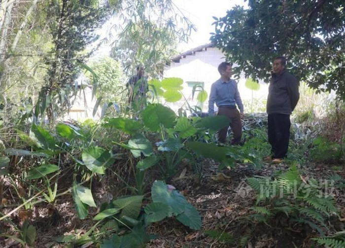 Đào giun đất để câu cá, người đàn ông tìm thấy kho báu lịch sử Ảnh 1