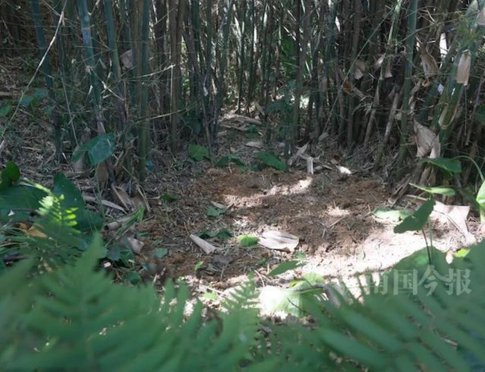 Đào giun đất để câu cá, người đàn ông tìm thấy kho báu lịch sử Ảnh 2