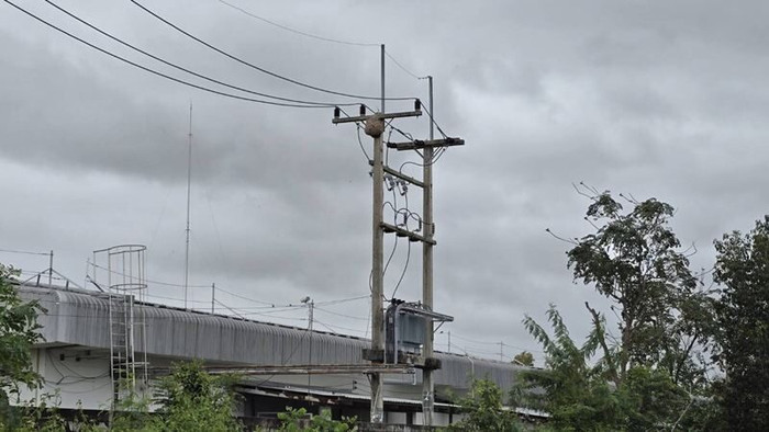 Nam thanh niên trèo lên cột điện lấy tổ ong về làm mồi nhậu, sự việc sau đó khiến nhiều người bàng hoàng Ảnh 1