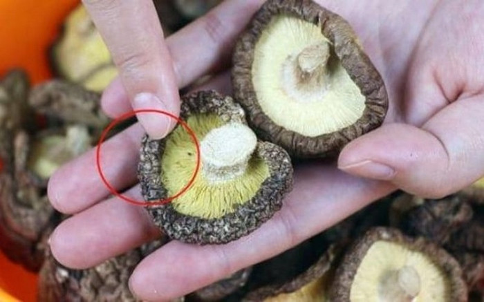 Thực phẩm bị nấm mốc tiềm ẩn nguy cơ gây hại sức khỏe. (Ảnh minh họa từ Internet)