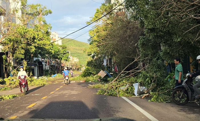 Tuyến đường Chương Dương tại phường Quy Nhơn. (Nguồn: Người Lao Động)