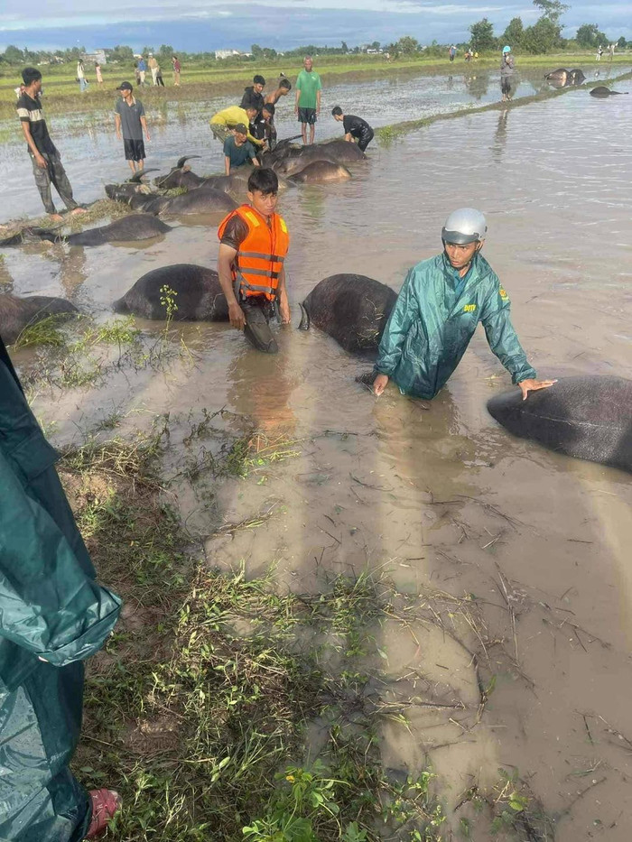 Địa phương đang thống kế thiệt hại để có phương án hỗ trợ bà con.