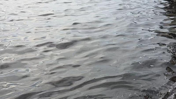 Nước tại bãi biển nổi tiếng bỗng chuyển sang màu đen, du khách và tiểu thương lo lắng Ảnh 3