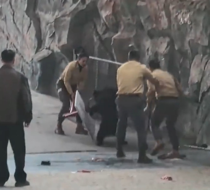 Con gấu đen vồ tới tấn công người huấn luyện, nhân viên có hành động gây phẫn nộ Ảnh 7