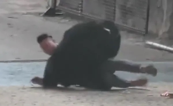 Con gấu đen vồ tới tấn công người huấn luyện, nhân viên có hành động gây phẫn nộ Ảnh 2