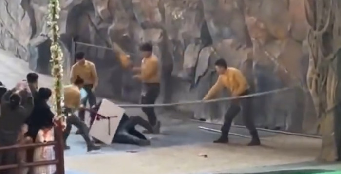 Con gấu đen vồ tới tấn công người huấn luyện, nhân viên có hành động gây phẫn nộ Ảnh 9