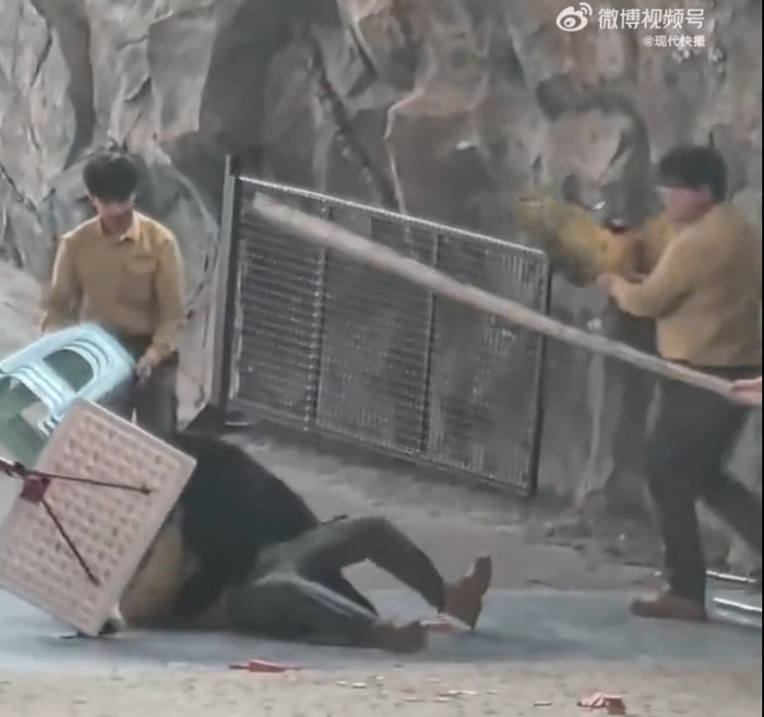 Con gấu đen vồ tới tấn công người huấn luyện, nhân viên có hành động gây phẫn nộ Ảnh 6