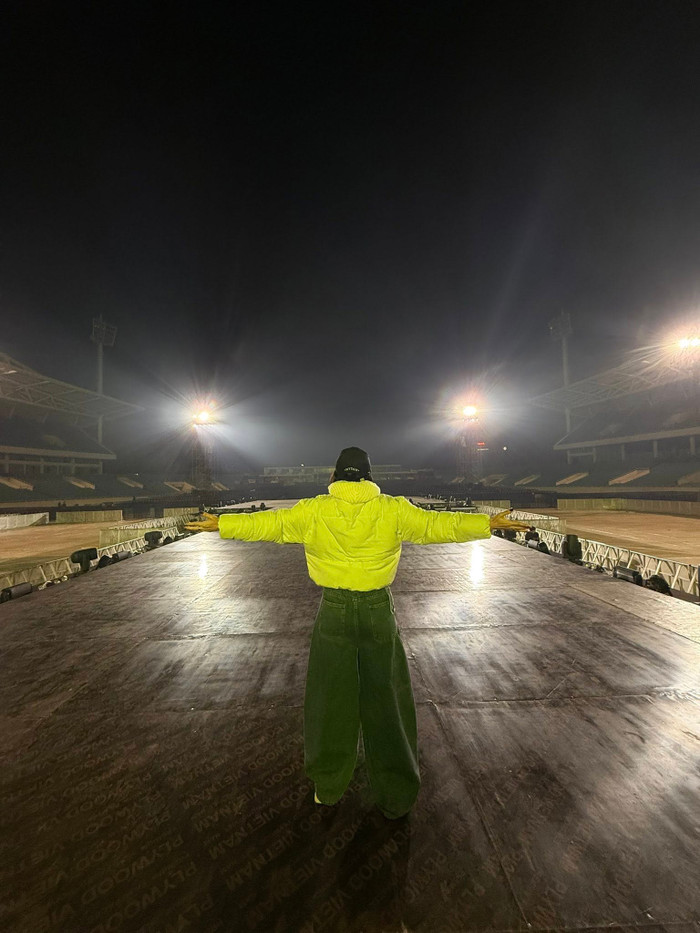 Mỹ Tâm gây lo lắng trước ngày trọng đại Ảnh 2