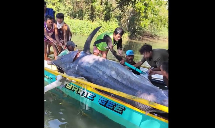 Ngư dân bắt được con 'thủy quái' khổng lồ, trọng lượng gây sốc Ảnh 1