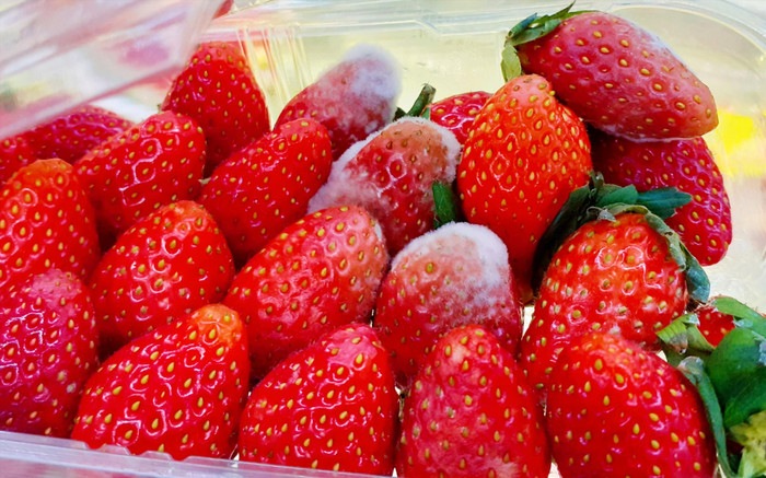 (Ảnh minh họa từ Internet)