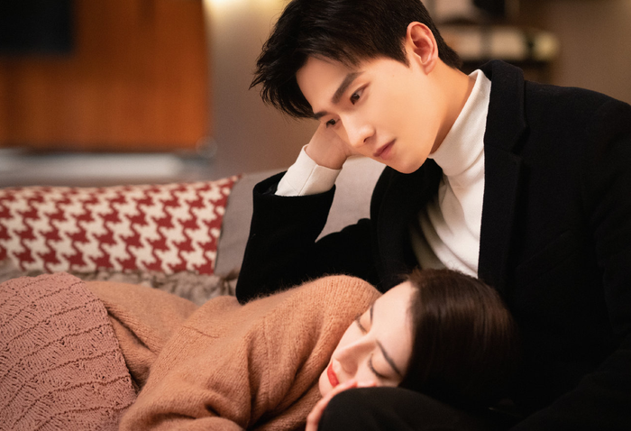 Những bộ phim chuyển thể Hoa ngữ thành công nhất, dàn cast như bước ra từ tiểu thuyết Ảnh 7