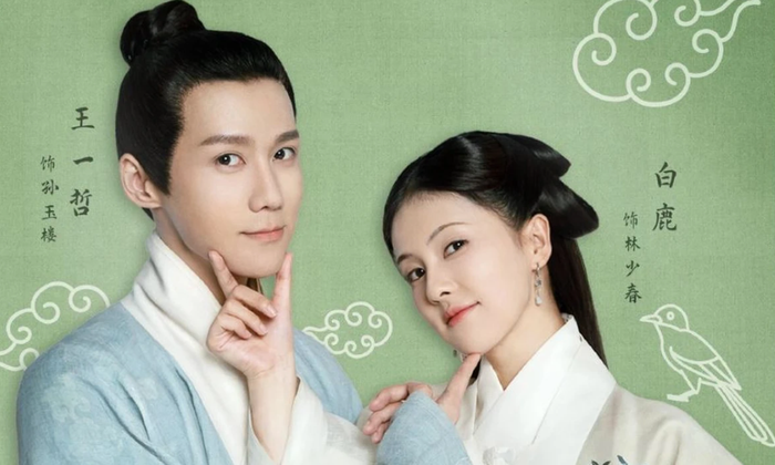 Tác phẩm gia đấu pha yếu tố hài, cho thấy sự linh hoạt của Bạch Lộc trong các dạng vai nhẹ nhàng, đời thường.