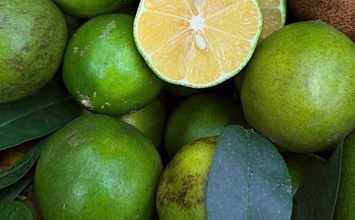 Chanh mang đến nhiều giá trị tích cực cho sức khỏe. (Ảnh minh họa từ Internet)