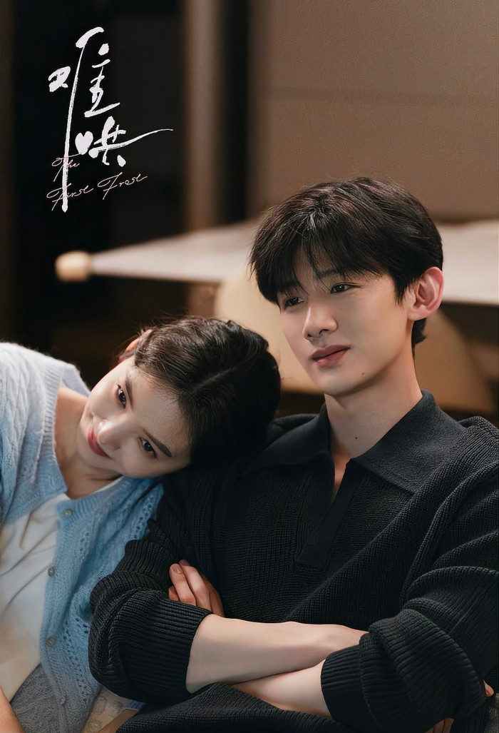 Top 10 phim truyền hình Hoa ngữ được xem nhiều nhất 2025 Ảnh 11