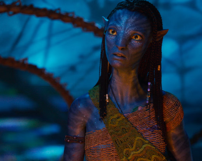 Avatar 3 gửi gắm thông điệp rõ ràng về sự đoàn kết và thấu hiểu (Ảnh: 20th Century Studios/PA).