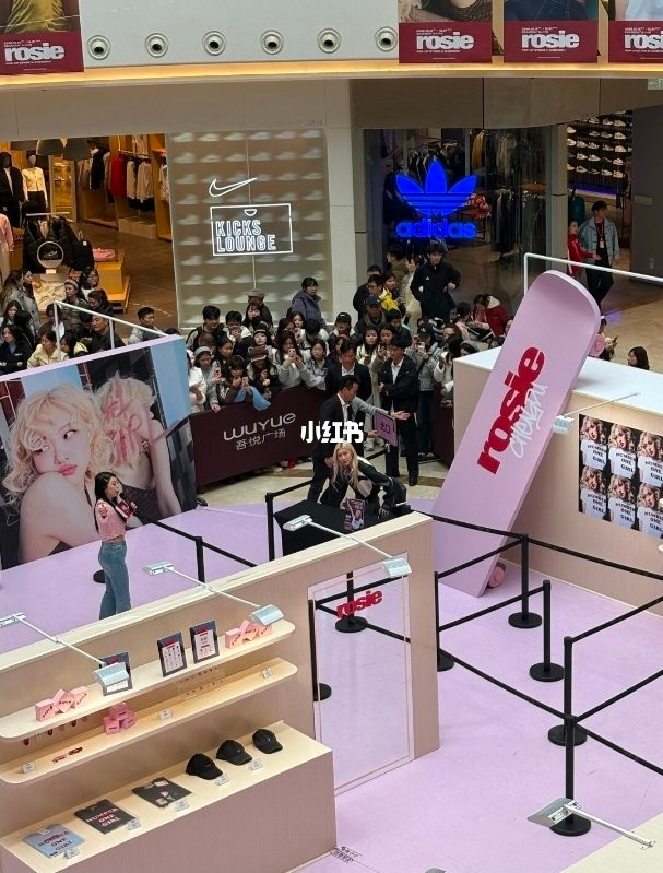 Cô gái giả mạo Rosé giao lưu, ký tặng cho fan như thật gây bức xúc Ảnh 4
