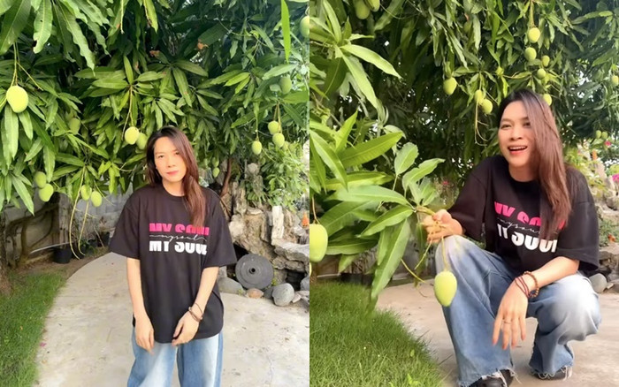 Theo chân Mỹ Tâm khá phá vườn trái cây trĩu quả rộng hàng nghìn mét vuông Ảnh 1