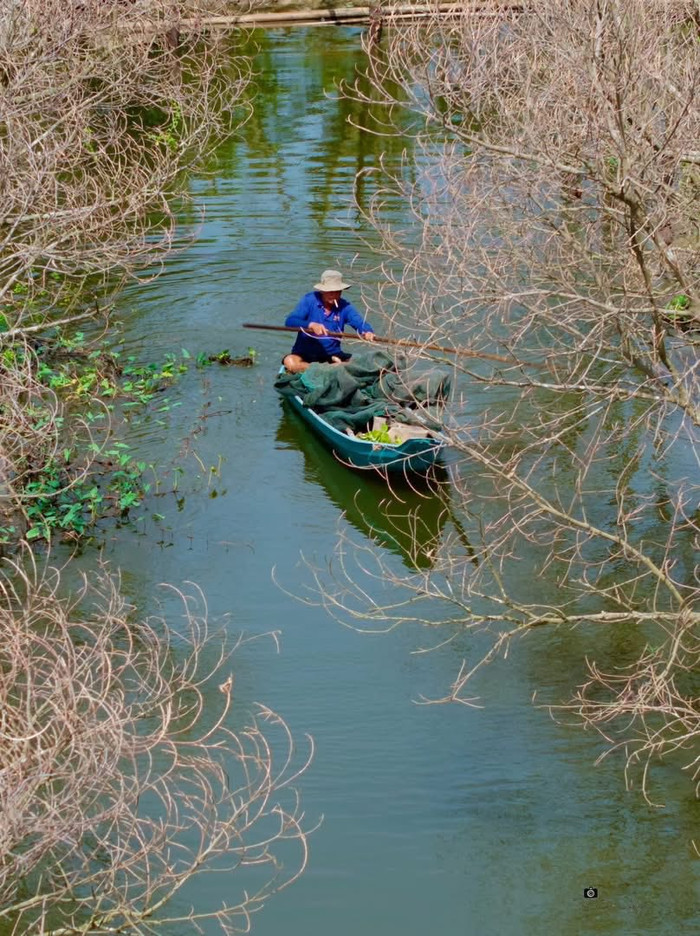 Mùa nước nổi ở An Giang. (Ảnh: Tu Do Day / page Lang thang An Giang)