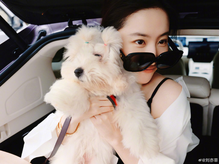 Ngoài thời gian dành cho công việc, Lưu Diệc Phi luôn đi chơi, vui vẻ tận hưởng cuộc sống. Ảnh: Weibo