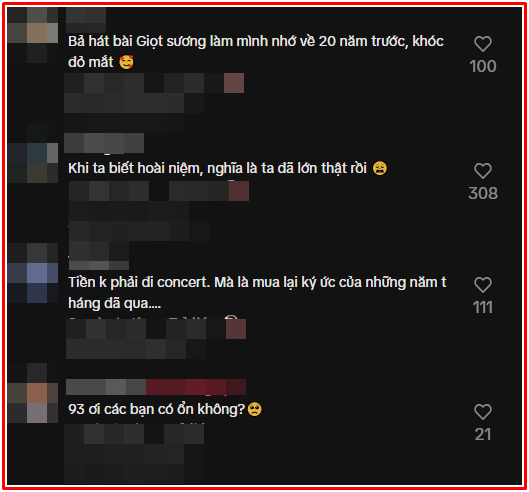 Một khán giả bật khóc trong live concert Mỹ Tâm, lý do khiến nhiều người đồng cảm Ảnh 3