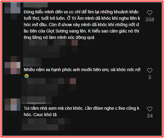 Một khán giả bật khóc trong live concert Mỹ Tâm, lý do khiến nhiều người đồng cảm Ảnh 2