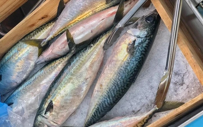 Cá thu được ví như một “kho dinh dưỡng tự nhiên” khi cung cấp lượng lớn protein chất lượng cao. (Ảnh minh họa từ Internet)