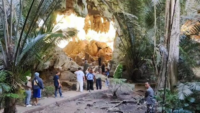 Phát hiện sinh vật quý hiếm có màu sắc cực lạ, người dân ùn ùn kéo đến xem Ảnh 1